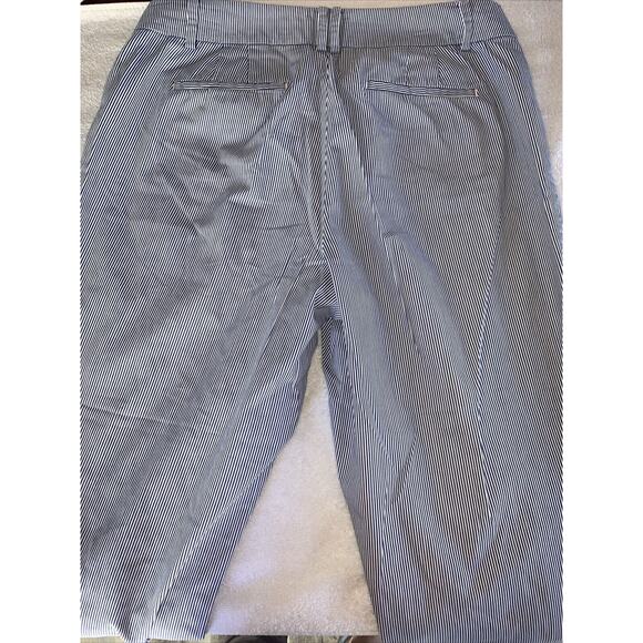 Talbots The Perfect Crop Curvy Pants Women’s Size 8 Blue & White Stripes. - Picture 7 of 9